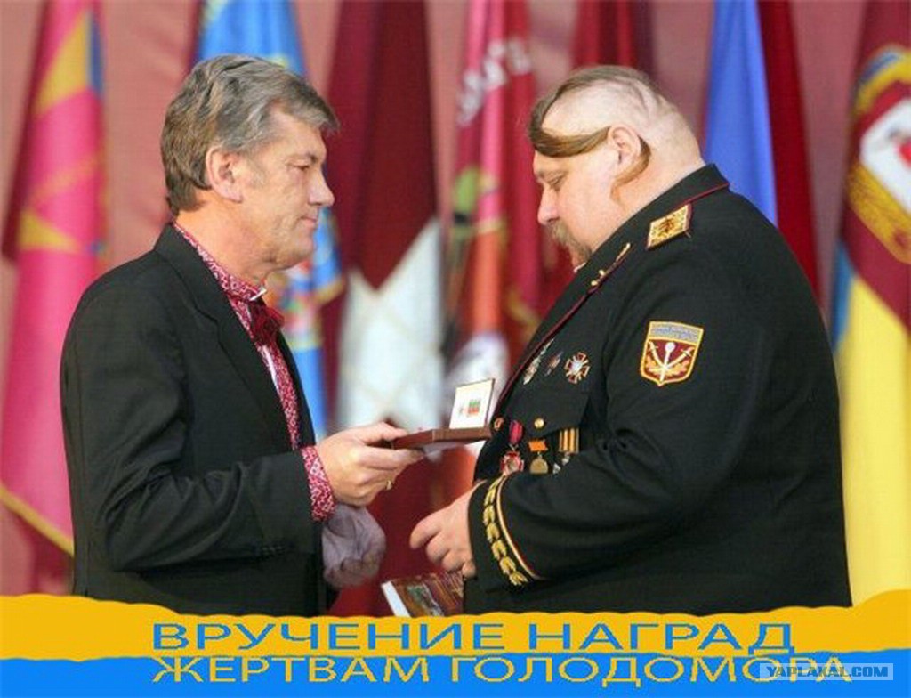 http://www.posprikaz.ru/wp-content/uploads/2015/12/2544875.jpg