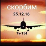 Нельзя исключать, что самолёт Ту-154 уничтожили вражеские диверсанты